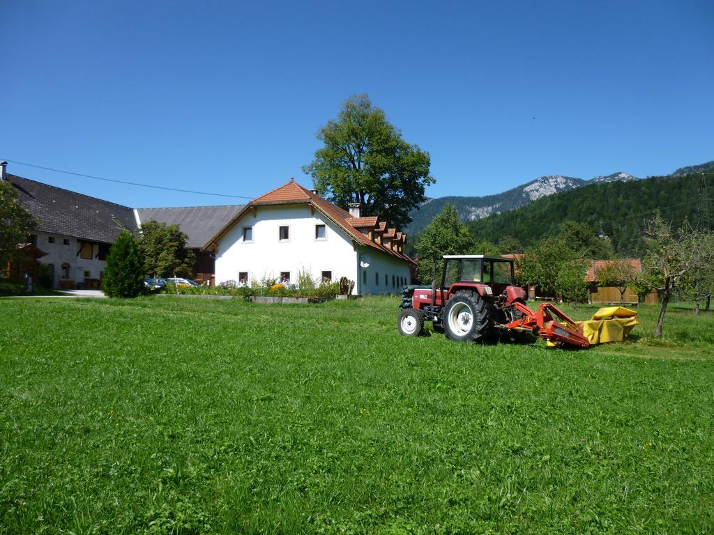 Ferien Am Land - Waldbauer Apartment