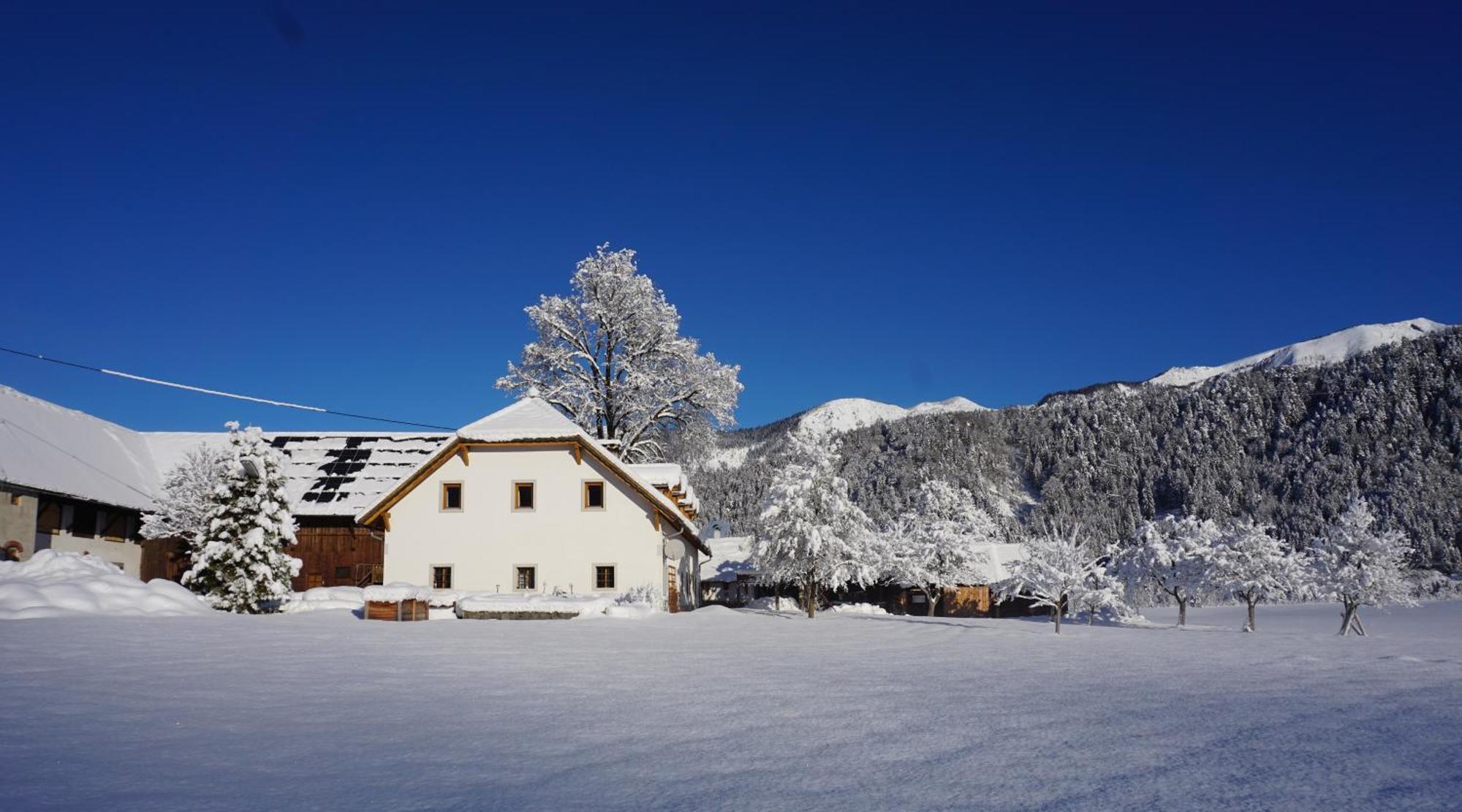 Ferien Am Land - Waldbauer Apartment Rossleithen